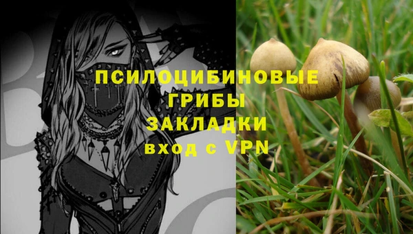 apvp Волоколамск